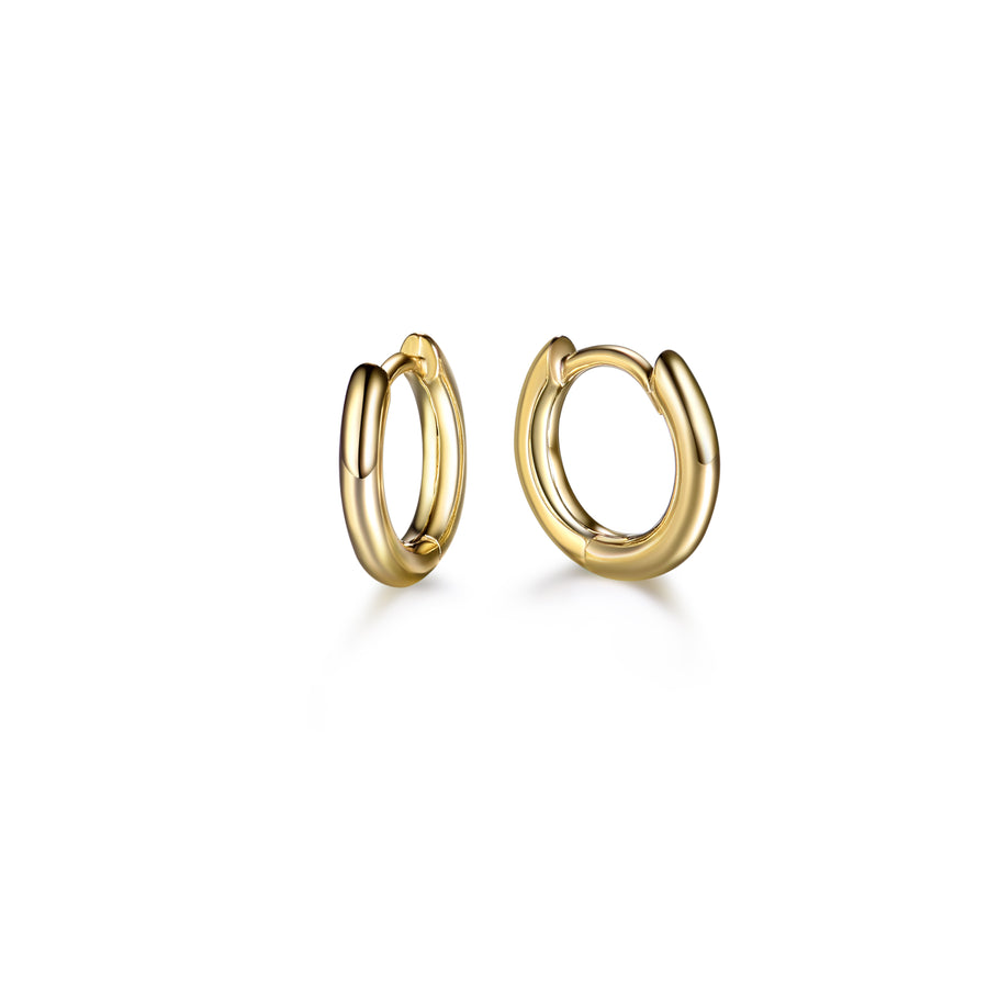a pair of small, plain gold hoop earrings 